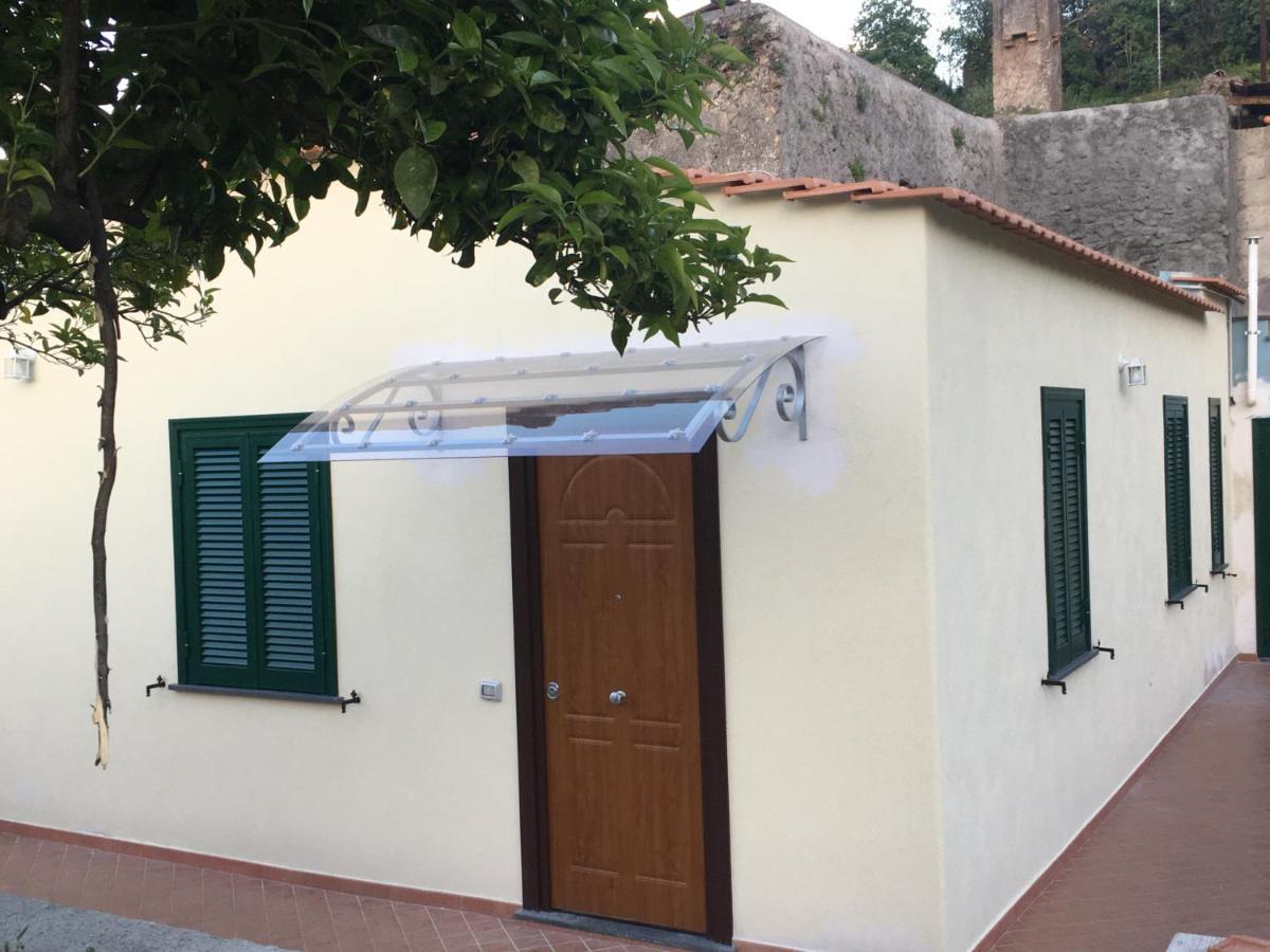 La Finestra Sul Giardino Apartment Ischia Luaran gambar