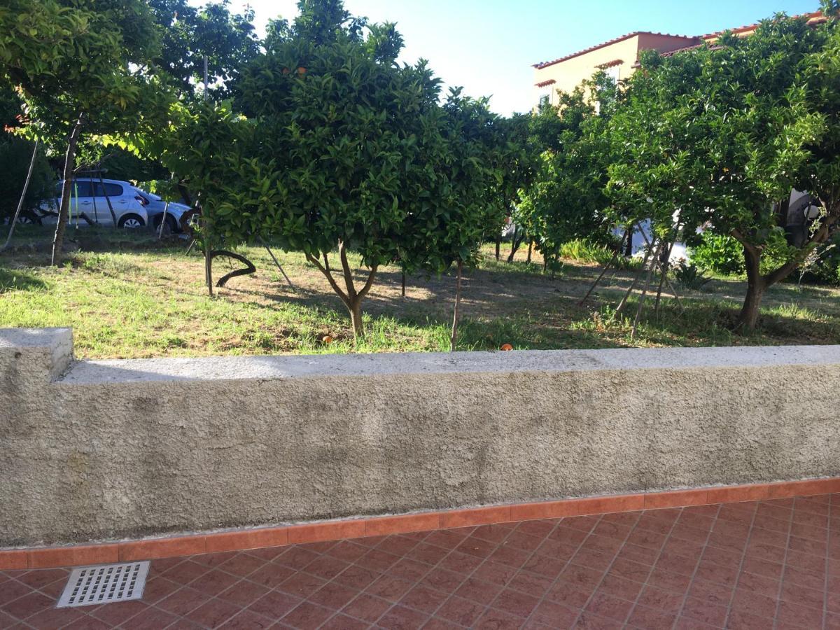 La Finestra Sul Giardino Apartment Ischia Luaran gambar